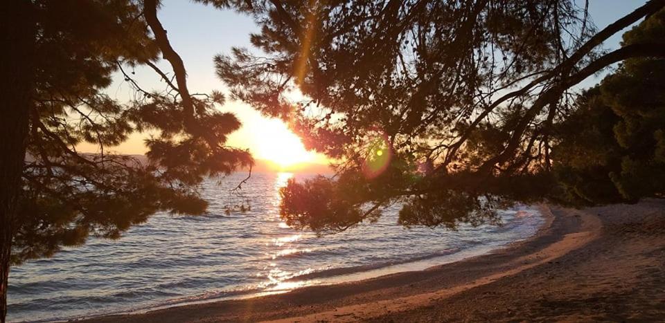 Apartmani Stipan Brela Dış mekan fotoğraf